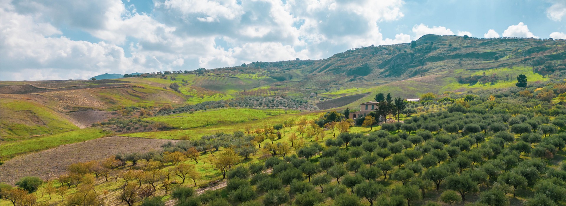 Solo Prodotti Naturali, da zone incontaminate