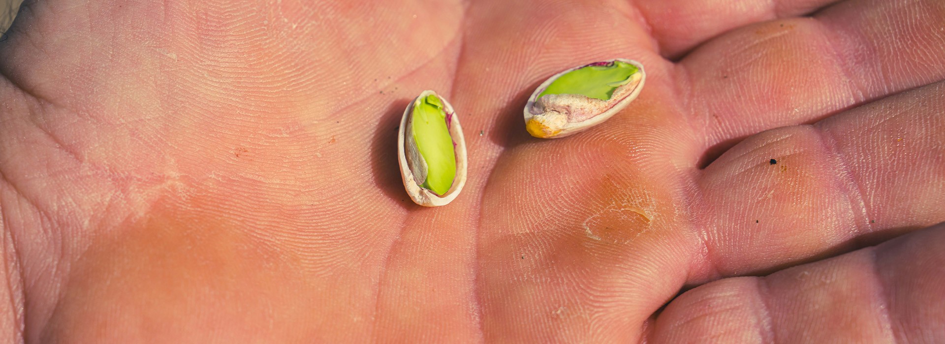 Pistacchio di Raffadali DOP